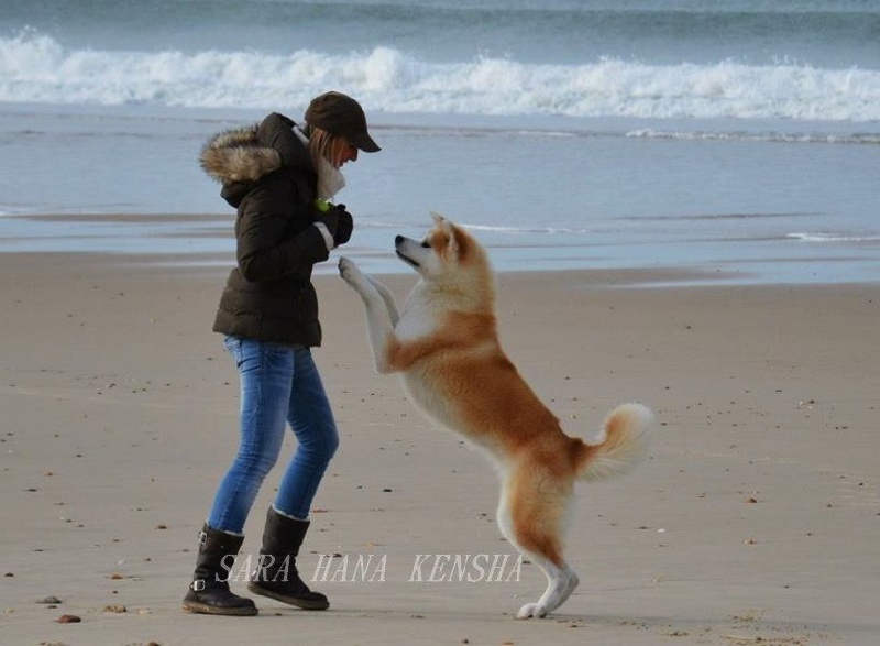 Le bonheur est...sur la plage !